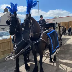 Bild von Snailriver Horse Drawn Carriage Co