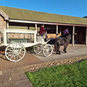 Bild von Snailriver Horse Drawn Carriage Co