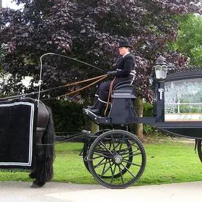Bild von Snailriver Horse Drawn Carriage Co