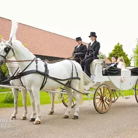 Bild von Snailriver Horse Drawn Carriage Co