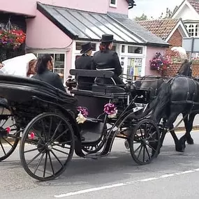 Bild von Snailriver Horse Drawn Carriage Co