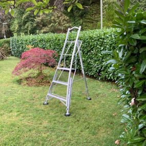 Bild von Garden Style Grounds Maintenance