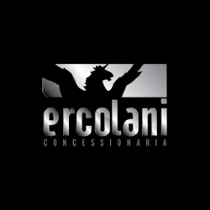 Logo fra Ercolani Auto