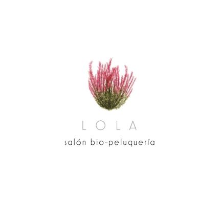 Logo from Salón Bio Peluquería