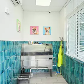 Bild von Cape at Savona Apartments