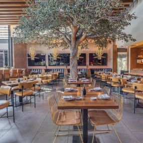 Unique dining experience in Scottsdale