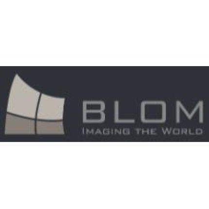 Logo da BLOM Deutschland GmbH