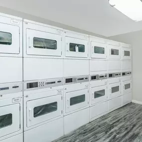 Bild von Rise Camelback