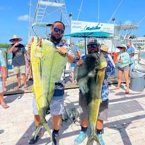 Mahi-Mahi