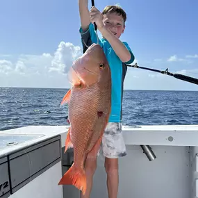 Mutton Snapper