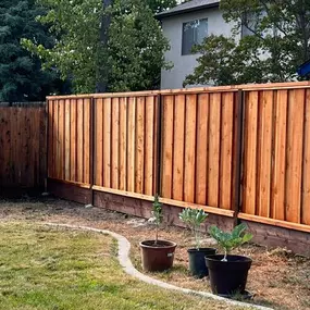 Bild von Rojo's Fences