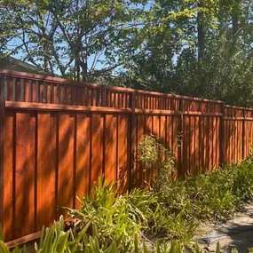 Bild von Rojo's Fences