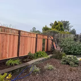 Bild von Rojo's Fences
