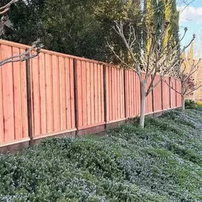 Bild von Rojo's Fences