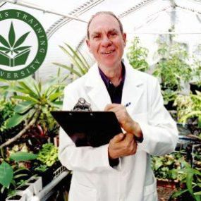 Bild von Cannabis Training University