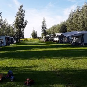 Bild von Camping Wilgenwei