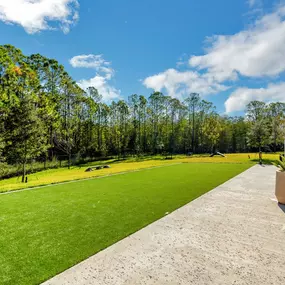 Lush Green Outdoor