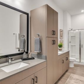 A bathroom with a large mirror and a sink with a plant on the counter