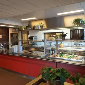 locatie Wijkestein