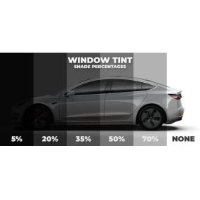 Privacy window tinting