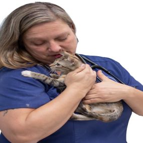 Bild von Cat Hospital of Tucson