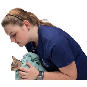 Bild von Cat Hospital of Tucson