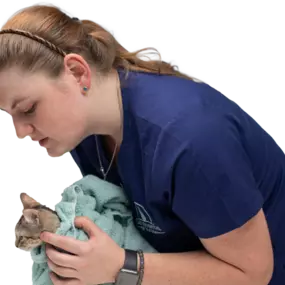 Bild von Cat Hospital of Tucson