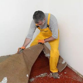 carpet stain removal services