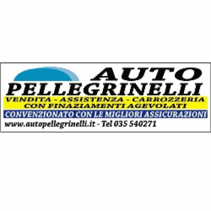 Logo od Autopellegrinelli