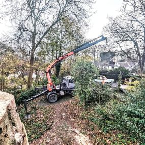 Bild von Eco Active Arborists