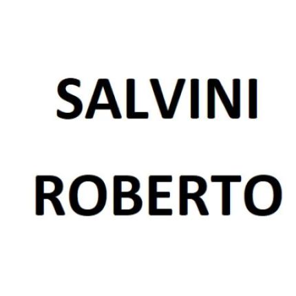 Logotyp från Salvini Roberto Decoratore