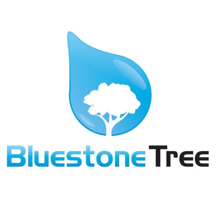 Logo de Bluestone Tree