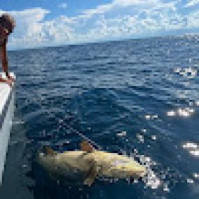 Bild von Fintastic Fishing Charters