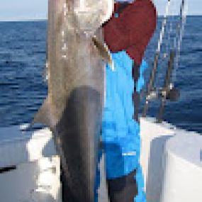 Bild von Fintastic Fishing Charters