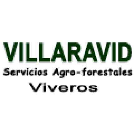 Logótipo de Villaravid