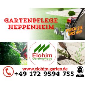 Bild von Elohim Gartenpflege Inh. : Alexandru Badea