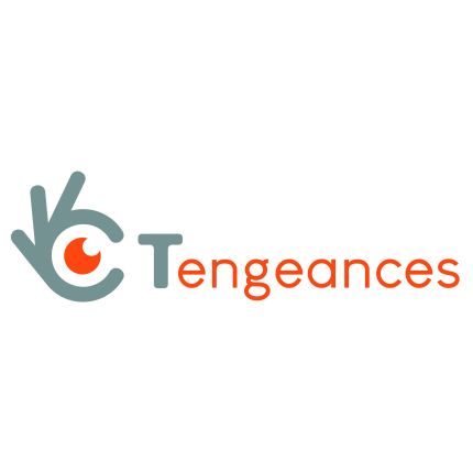 Logotipo de Tengeances
