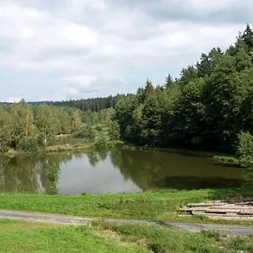 Bild von Ferienwohnungen Hendlmühle