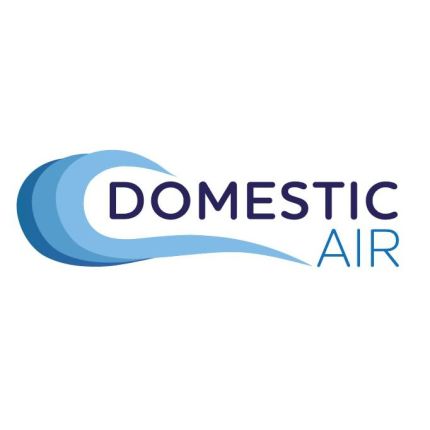 Logotyp från Domestic Air