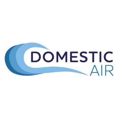 Logo fra Domestic Air