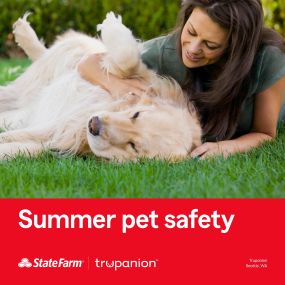 Summer fun can bring its fair share of safety risks for our furry friends. Here’s a helpful link to summer pet safety tips. Contact me to learn more.