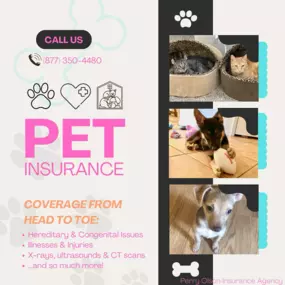 We were saddened by the recent news that 100,000 people recently lost their pet insurance. Protecting our furry family members is crucial! Give us a call to ensure your pets are covered and cared for.