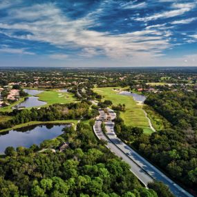 Bild von Mike Novak, Lakewood Ranch Realtor |  Coldwell Banker Realty