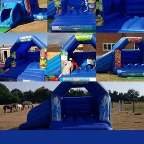 Bild von Top Banana Bouncy Castles