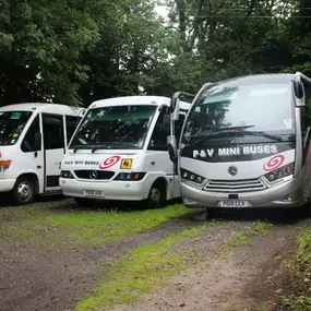 Bild von P & V Minibuses