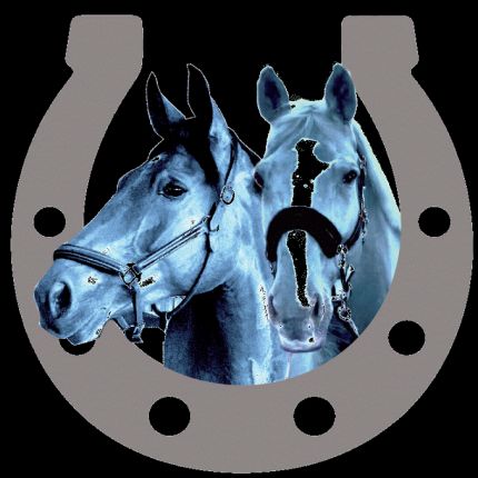 Logo da Pferdetransporte Kipper Filmservice GmbH