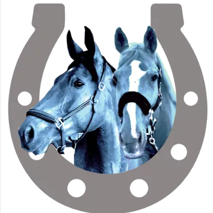 Logo von Pferdetransporte Kipper Filmservice GmbH