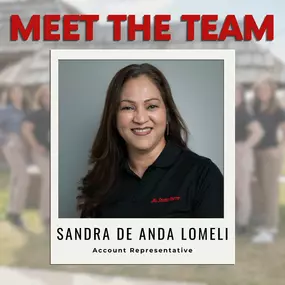 Meet the Team - Meet Sandra!