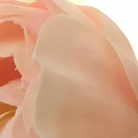 Bild von Alliance Hypnose & Thérapies