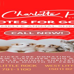 Charlotte Potts - State Farm Insurance Agent is donating $10 to Maumelle Animal Shelter for every eligible quote provided during the month of February 2022! We have two convenient locations to stop by or call our office for your free insurance quote. Reach out to us today!